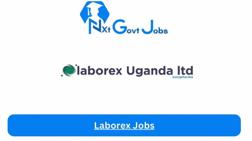 Laborex Jobs